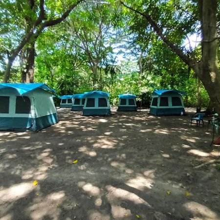 Happy Camping Arrecifes Dentro Del Parque Nacional Natural Tayrona El Coquito Εξωτερικό φωτογραφία
