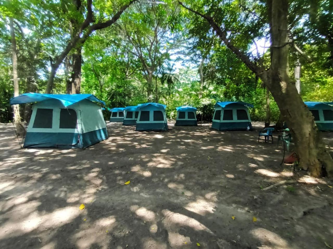 Happy Camping Arrecifes Dentro Del Parque Nacional Natural Tayrona El Coquito Εξωτερικό φωτογραφία