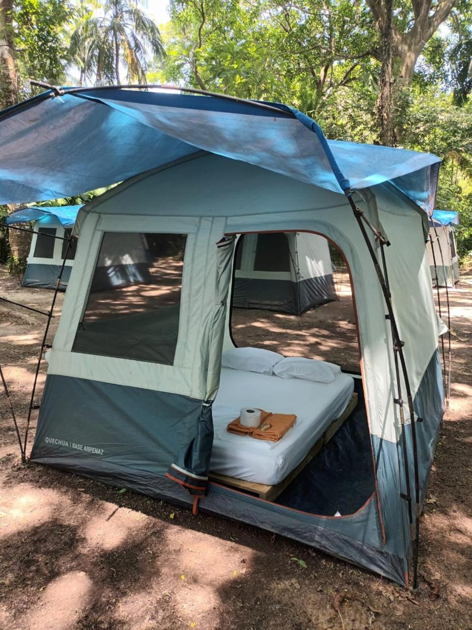 Happy Camping Arrecifes Dentro Del Parque Nacional Natural Tayrona El Coquito Εξωτερικό φωτογραφία